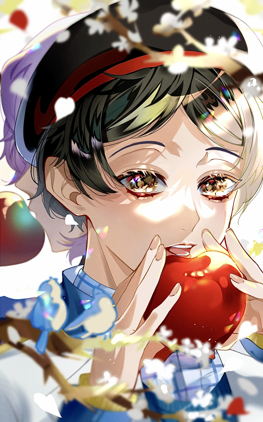 2boys, bird, black_hair, black_hat, blue_bird, blue_shirt, blurry, blurry_foreground, branch, epel_felmier, falling_petals, flower, food, fruit, hat, highres, holding, holding_food, holding_fruit, jacket, joe_999, light_particles, looking_at_viewer, multiple_boys, neige_leblanche, parted_bangs, petals, purple_hair, shirt, short_hair, twisted_wonderland, white_flower, white_jacket, yellow_eyes