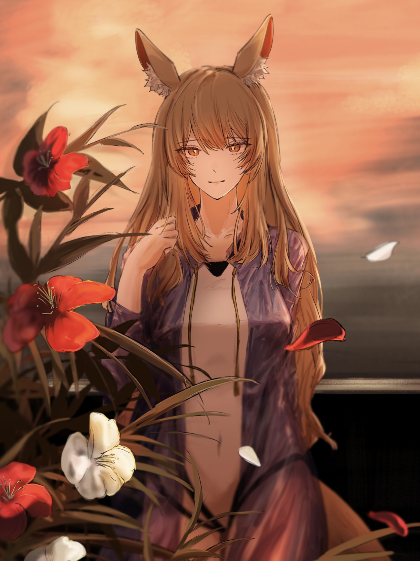 1girl, absurdres, animal_ear_fluff, animal_ears, arknights, blonde_hair, blurry, cheddar_n