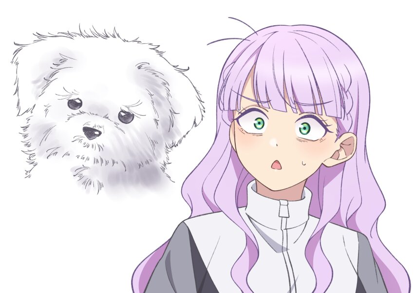 1girl, black_jacket, blunt_bangs, braid, commentary_request, comparison, constricted_pupils, dog