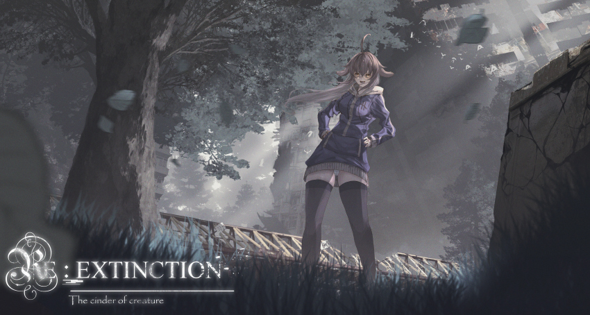 1girl, absurdres, ahoge, animal_ears, bird, black_thighhighs, blue_jacket, blue_panties