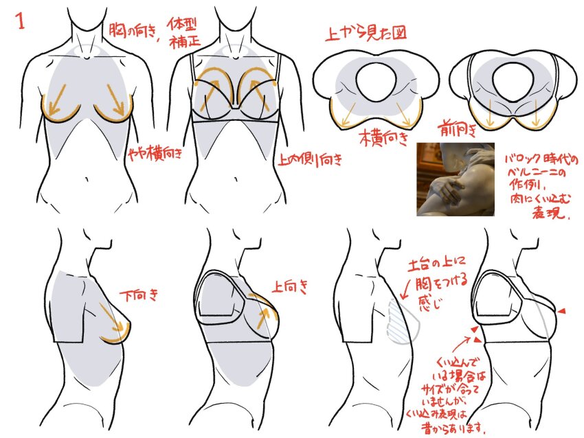 arrow_(symbol), bra, breasts, check_translation, colored_lineart, from_above, from_side, guide, highres, how_to, katou_kouta, lineart, original, photo_inset, simple_background, skindentation, torso, translation_request, underwear, white_background