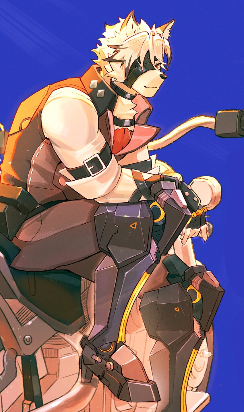 1boy, animal_ears, augoose_cong, bicep_strap, black_gloves, blue_background, claws, closed_mouth