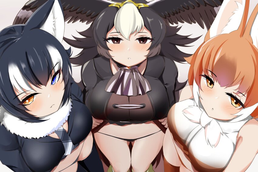 3girls, absurdres, animal_ears, bird_wings, black_hair, blue_eyes, brown_eyes, brown_hair