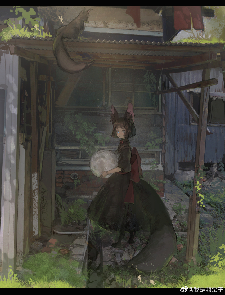 1girl, absurdres, animal_ear_fluff, animal_ears, back_bow, black_dress, black_hair, blue_eyes