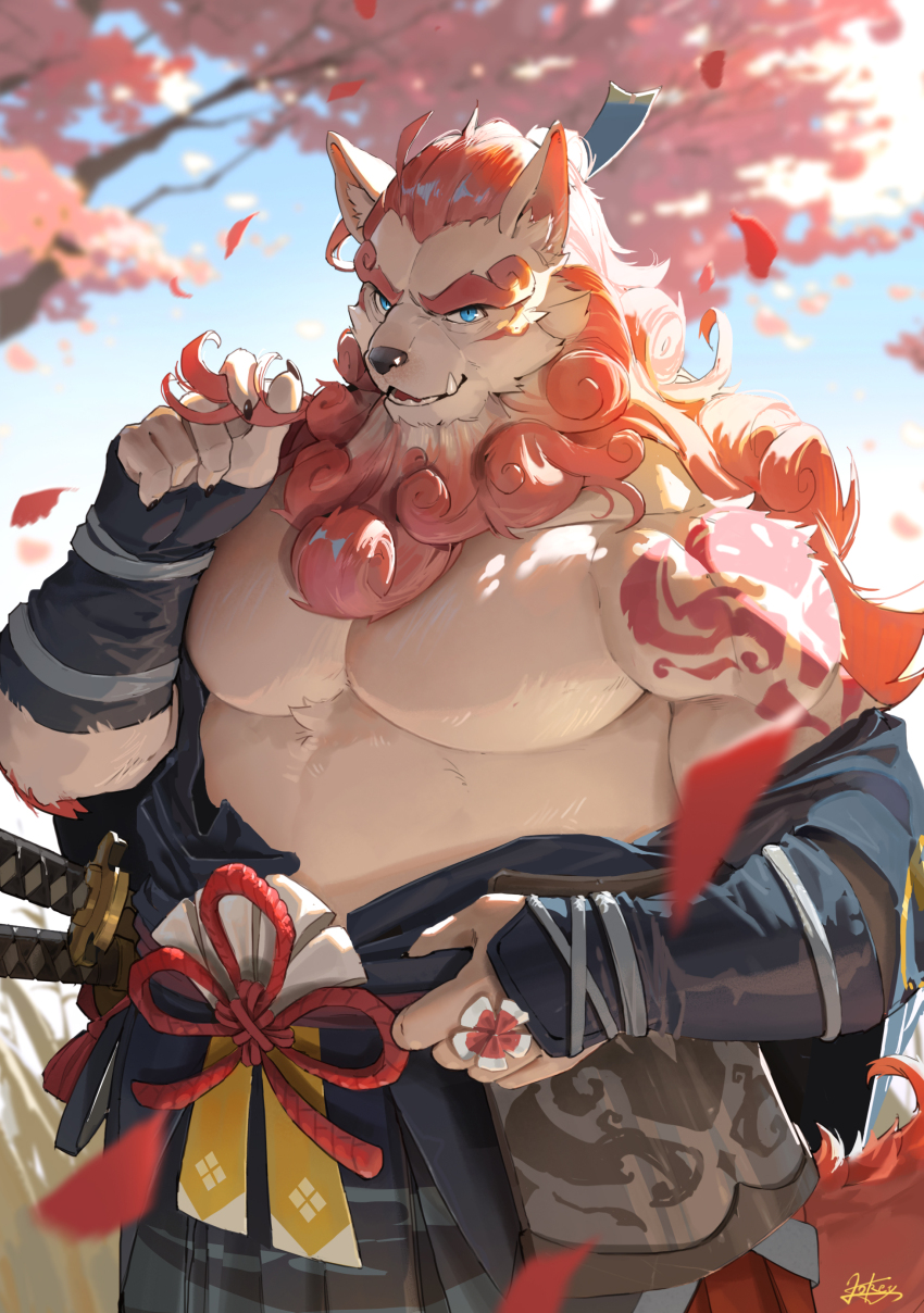 1boy, absurdres, animal_ear_fluff, armor, bara, bare_pectorals, blue_eyes, body_markings, cherry_blossoms, chest_fur, commentary, animal_nose, fang, fingerless_gloves, furry, furry_male, gloves, highres, holding, holding_own_hair, i_lokey, japanese_armor, japanese_clothes, katana, komainu_boy, komainu_ears, komainu_tail, looking_at_viewer, male_focus, mane, muscular, muscular_male, open_mouth, orange_fur, orange_hair, partially_undressed, pectoral_cleavage, pectorals, sdorica, sheath, sheathed, signature, smile, sword, toyokuni_(sdorica), weapon