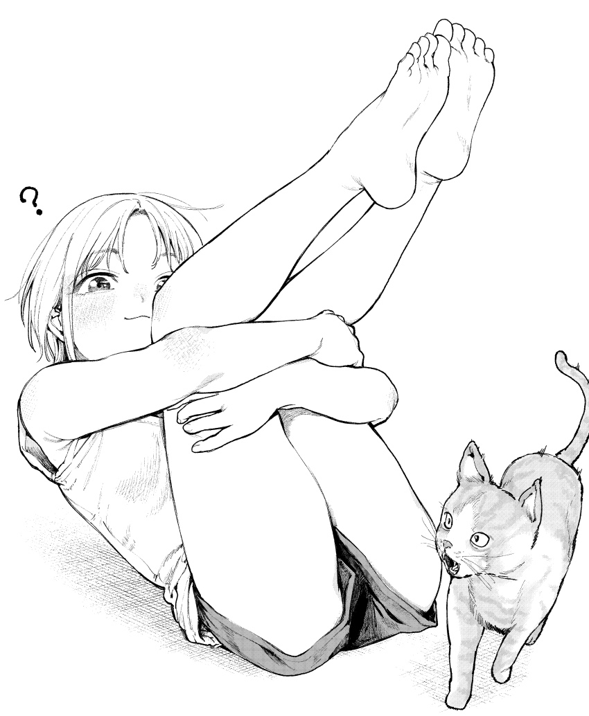 1girl, ?, absurdres, barefoot, blush, cat, closed_mouth, feet
