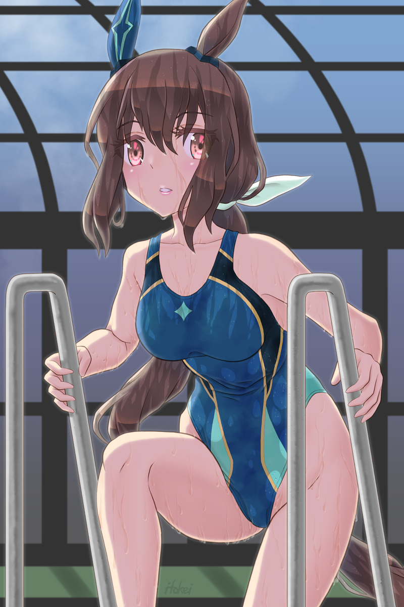 1girl, admire_vega_(umamusume), animal_ears, blue_one-piece_swimsuit, breasts, brown_eyes, brown_hair, commentary_request, competition_swimsuit, ear_covers, feet_out_of_frame, hair_between_eyes, highleg, highleg_one-piece_swimsuit, highres, horse_ears, horse_girl, horse_tail, indoors, long_hair, looking_at_viewer, low_ponytail, medium_breasts, multicolored_swimsuit, one-piece_swimsuit, ponytail, pool_ladder, solo, swimsuit, tail, umamusume, wet, wet_clothes, wet_swimsuit, wonder-ranch
