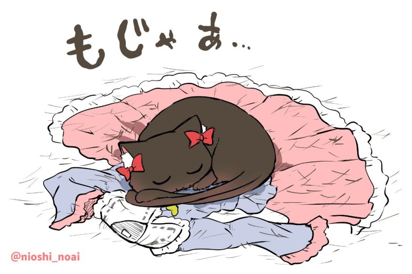 :3, animal_focus, black_cat, blue_shirt, bow, cat, closed_eyes, closed_mouth