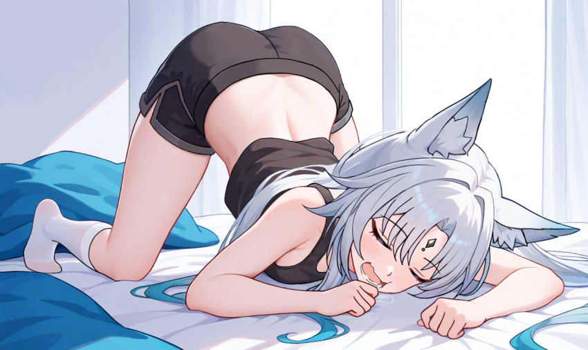 1girl, animal_ears, ass, bed, black_shorts, blue_hair, crop_top, dimples_of_venus