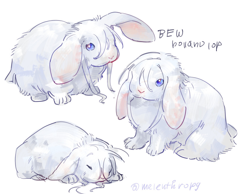 animal, animal_focus, animalization, blue_eyes, closed_eyes, commentary, english_commentary, english_text