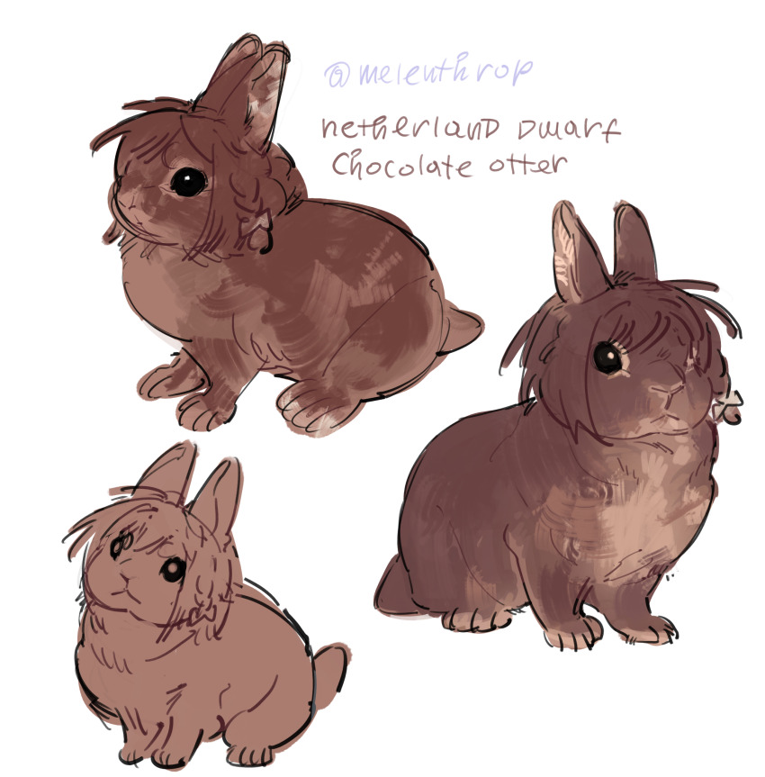 animal, animal_focus, animalization, braid, brown_fur, commentary, english_commentary, english_text