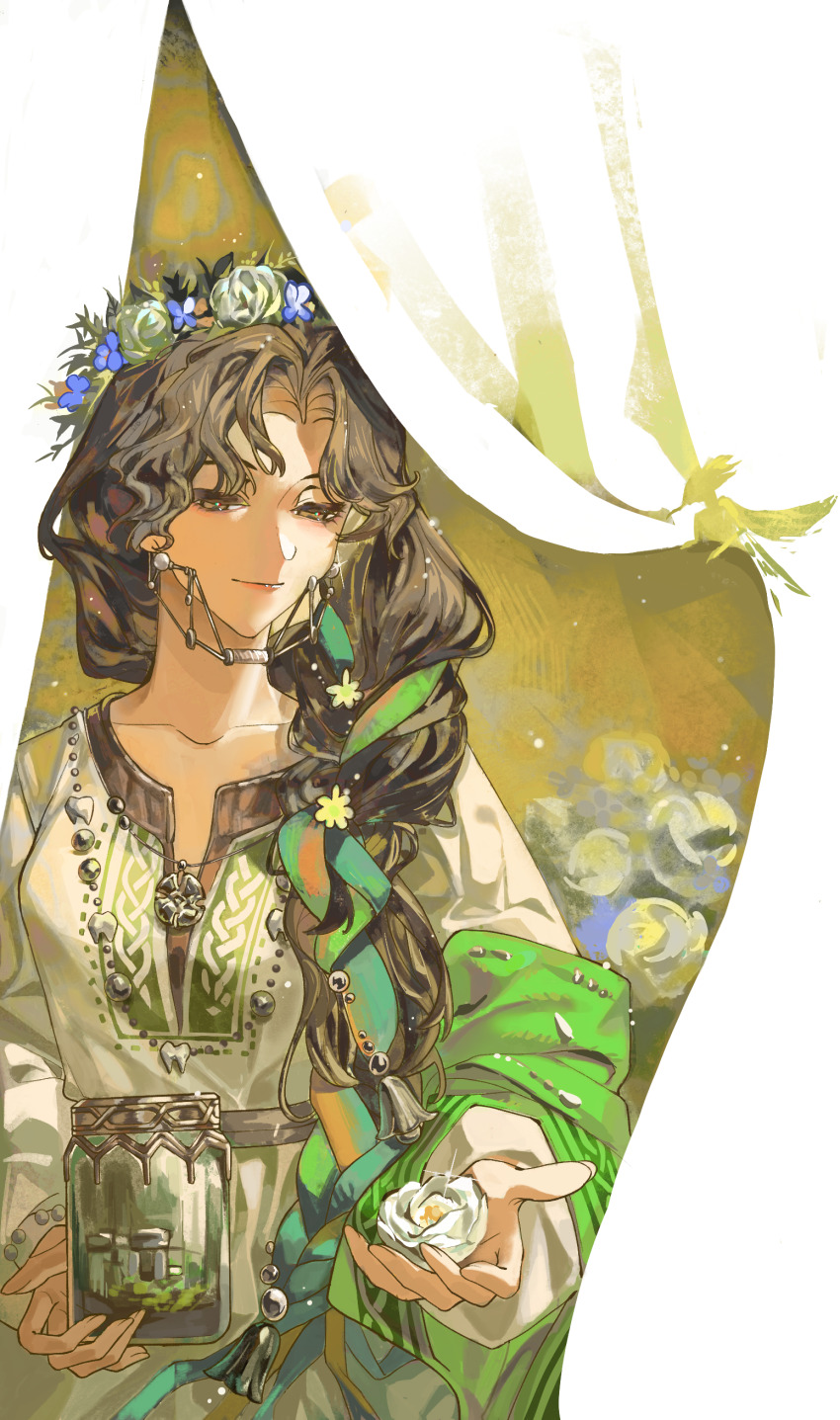 1girl, absurdres, blending, braces, braid, brown_eyes, brown_hair, celtic_knot