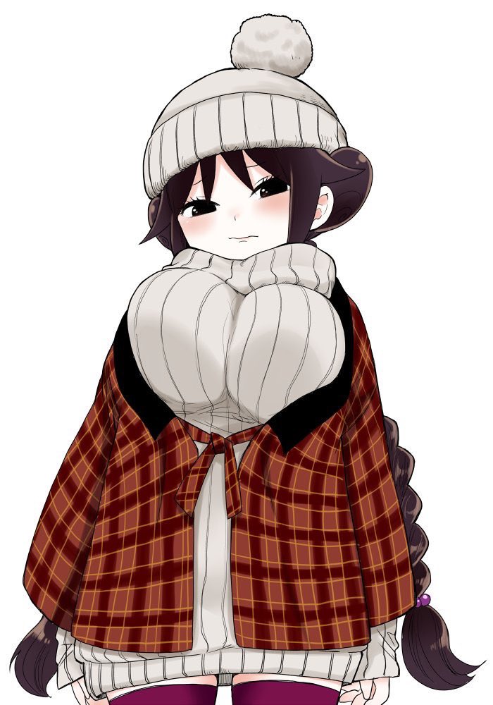 1girl, arms_at_sides, beanie, black_eyes, blush, braid, breasts, brown_hair