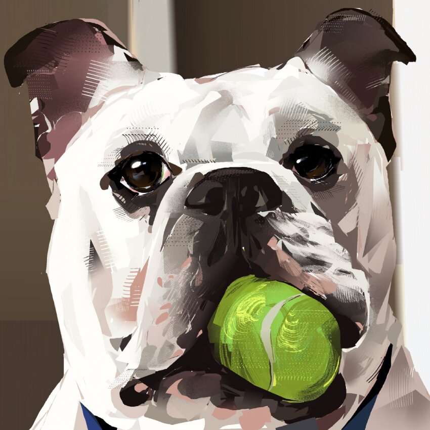 animal, animal_focus, ball, bulldog, commentary, commission, dog, english_commentary, highres, junbuug, looking_at_viewer, mouth_hold, no_humans, original, portrait, realistic, solo, tennis_ball
