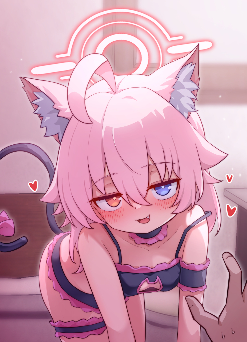 1girl, absurdres, animal_ears, black_bra, black_panties, blue_archive, blue_eyes, bra, breasts, cat_ears, cat_lingerie, cat_tail, choker, fake_animal_ears, fake_tail, fang, frilled_bra, frilled_choker, frilled_panties, frilled_thigh_strap, frills, heart, heterochromia, highres, hoshino_(blue_archive), jam_to_cham, loli, long_hair, looking_at_viewer, orange_eyes, panties, pink_hair, pov, pov_hands, small_breasts, strap_slip, tail, teasing, thigh_strap, underwear