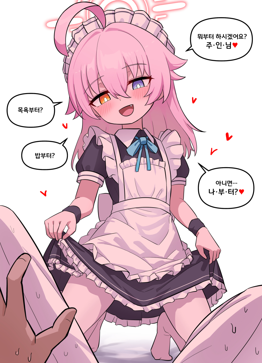 1boy, 1girl, absurdres, ahoge, alternate_costume, apron, black_dress, blue_archive, blue_eyes, blush, clothes_lift, commentary, dress, fang, feet, frilled_apron, frills, hair_between_eyes, halo, heart, heterochromia, highres, holding_own_dress, hoshino_(blue_archive), huge_ahoge, jam_to_cham, korean_text, lifting_own_clothes, loli, long_hair, looking_down, maid, maid_apron, maid_headdress, open_mouth, orange_eyes, pink_hair, pink_halo, pov, puffy_short_sleeves, puffy_sleeves, sensei_(blue_archive), short_dress, short_sleeves, skirt, skirt_lift, socks, speech_bubble, squatting, translation_request, white_apron, white_socks