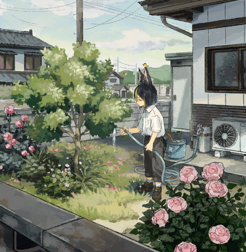 1boy, air_conditioner, animal_ear_fluff, animal_ears, black_hair, black_pants, black_shoes, blue_sky