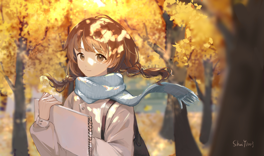 1girl, absurdres, autumn, autumn_leaves, blue_scarf, braid, brown_eyes, brown_hair
