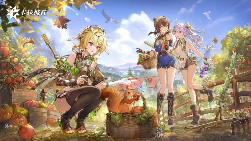 3girls, ahoge, animal, bandaged_arm, bandages, bare_arms, bare_shoulders, blonde_hair, blue_eyes, blue_shorts, boots, brown_hair, brown_shirt, brown_thighhighs, crop_top, day, fuchsia_(forest_adventure)_(strinova), fuchsia_(strinova), hair_ornament, hat, highres, kanami_(rural_beauty)_(strinova), kanami_(strinova), looking_at_another, midriff, multiple_girls, official_art, one_side_up, open_mouth, outdoors, overall_shorts, overalls, red_eyes, revealing_clothes, sandals, shirt, shorts, single_sleeve, skull_hair_ornament, sleeveless, sleeveless_shirt, smile, squatting, squirrel, strinova, thighhighs, thighs, weapon, weapon_on_back, white_hair, yvette_(picnic_time)_(strinova), yvette_(strinova)
