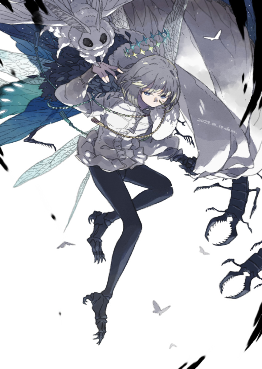 1boy, arthropod_boy, asymmetrical_arms, black_pants, blanca_(fate), blue_eyes, bug, butterfly, cape, centipede, commentary, dated, diamond_hairband, dragonfly_wings, fate/grand_order, fate_(series), full_body, fur-trimmed_cape, fur_trim, grey_hair, highres, insect, insect_wings, long_sleeves, looking_to_the_side, male_focus, medium_hair, moonriver0123, moth, multicolored_cape, oberon_(fate), oberon_(third_ascension)_(fate), pants, shirt, sidelocks, simple_background, solo, tassel, unworn_headwear, white_background, white_shirt, wings