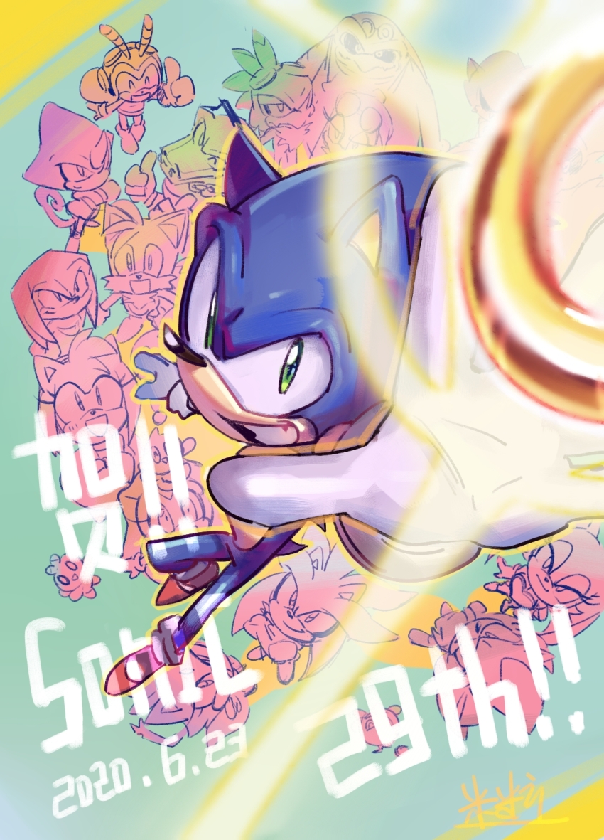 4girls, 6+boys, :o, ;), amy_rose, anniversary, bird_boy, blaze_the_cat, chao_(sonic), charmy_bee, cheese_(sonic), closed_eyes, cream_the_rabbit, dark_chao, dated, espio_the_chameleon, everyone, fox_boy, furry, furry_female, furry_male, gloves, goggles, goggles_on_head, grin, hedgehog_boy, hedgehog_girl, hero_chao, highres, jet_the_hawk, knuckles_the_echidna, looking_at_another, looking_up, metal_sonic, milifeimili, multiple_boys, multiple_girls, one_eye_closed, outstretched_arm, reaching, reaching_towards_viewer, ring_(sonic), rouge_the_bat, shadow_the_hedgehog, shoes, silver_the_hedgehog, smile, sneakers, sonic_(series), storm_the_albatross, tail, thumbs_up, vector_the_crocodile, wave_the_swallow, white_gloves