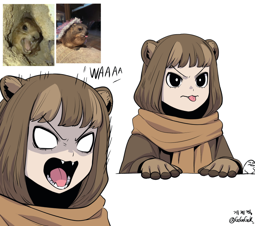 1girl, :3, absurdres, angry, animal_ear_fluff, animal_ears, brown_hair, creature_and_personification, fang, gegegekman, gloves, grey_sweater, highres, hyrax_(animal), lower_teeth_only, multiple_views, non-web_source, open_mouth, original, personification, photo_inset, reference_inset, screaming, short_hair, simple_background, sweater, teeth, tongue, tongue_out, tsurime, turtleneck, turtleneck_sweater, twitter_username, white_background, white_eyes