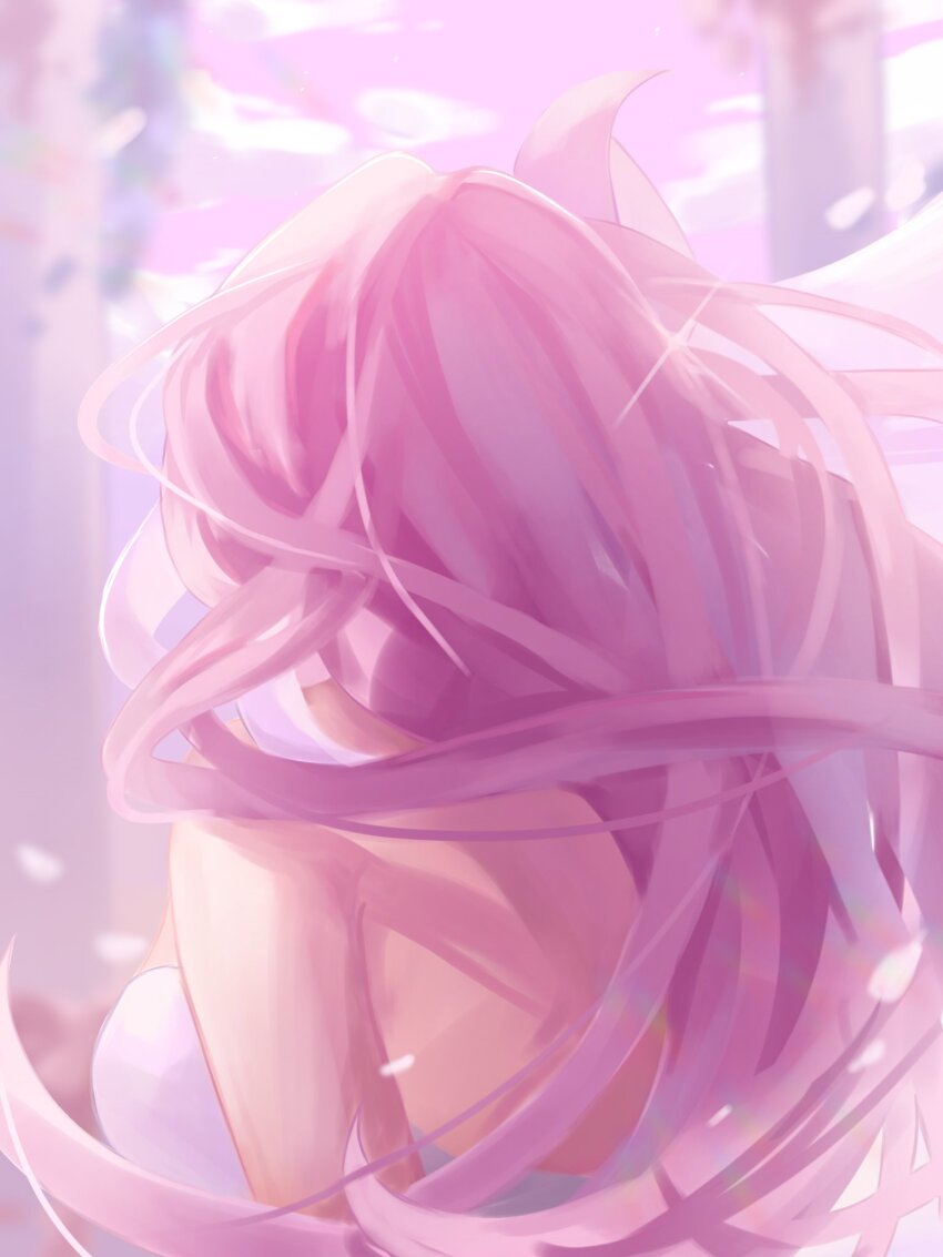 1girl, commentary, dress, elysia_(herrscher_of_human:_ego)_(honkai_impact), elysia_(honkai_impact), floating_hair, from_behind, hashtag-only_commentary