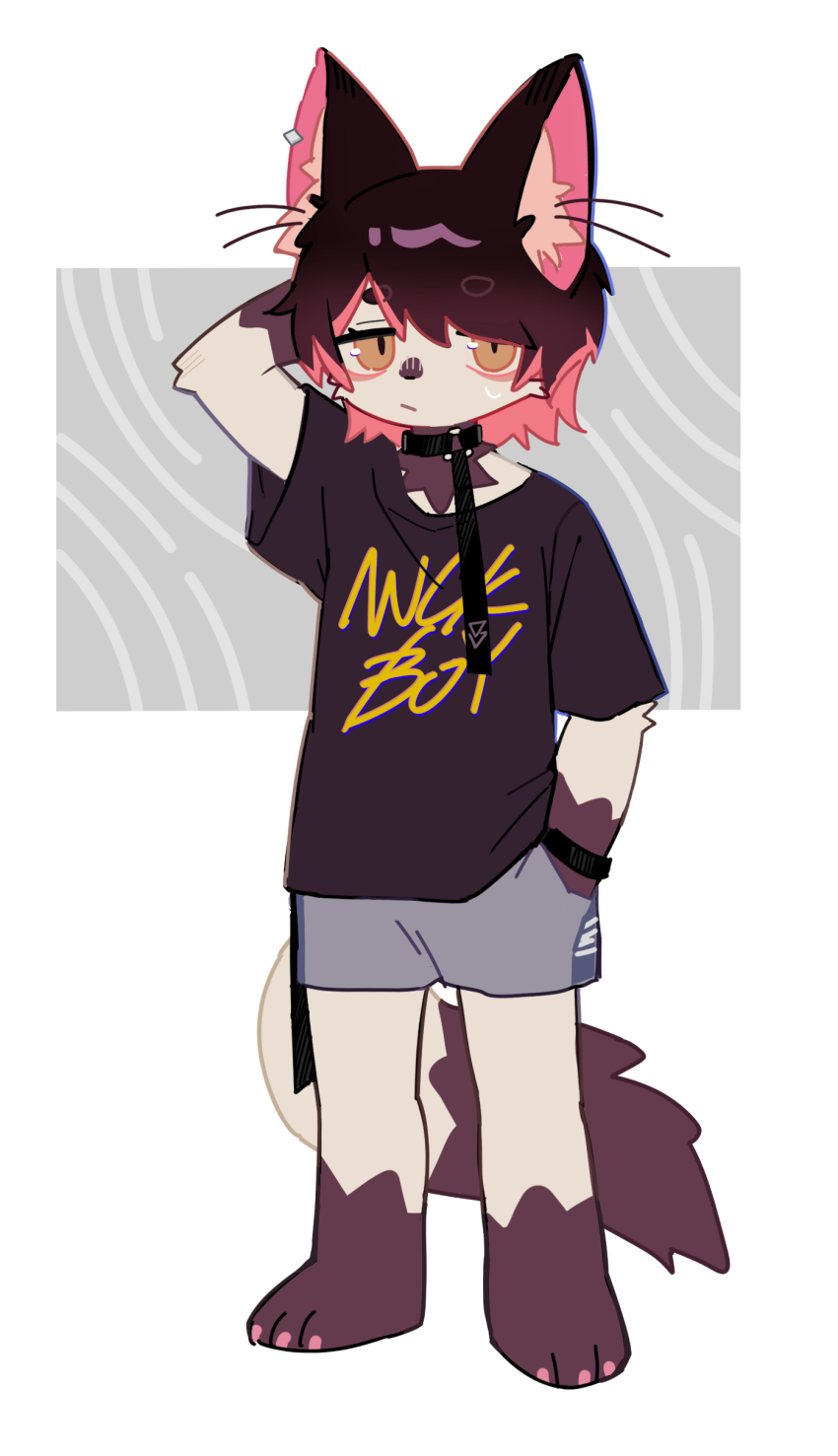 1boy, absurdres, animal_ears, arm_behind_head, black_hair, black_shirt, cat_ears, collar