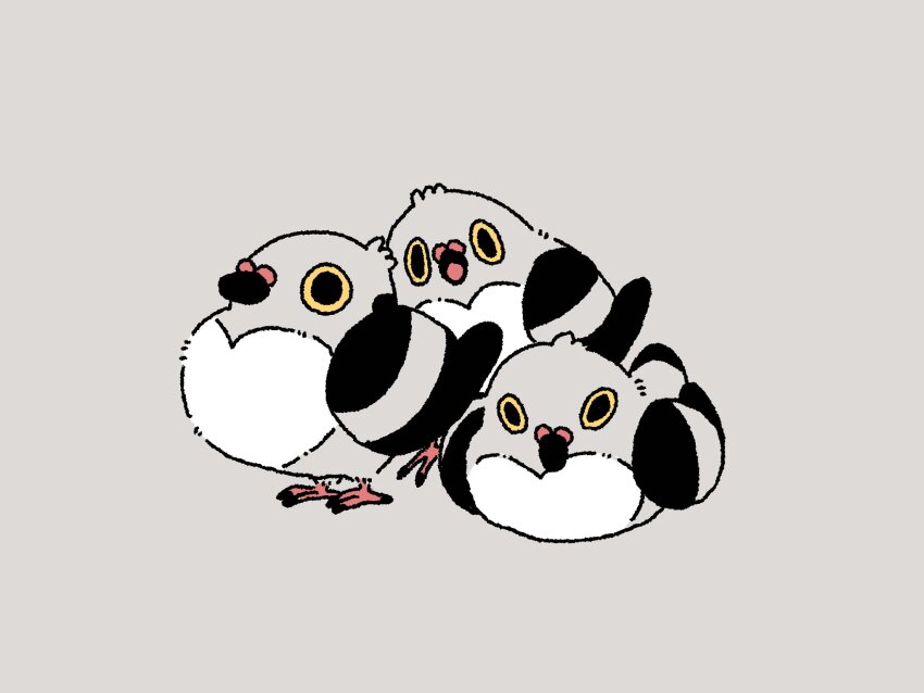 00tamakichi, bird, gen_5_pokemon, grey_background, highres, looking_at_viewer, nintendo, no_humans