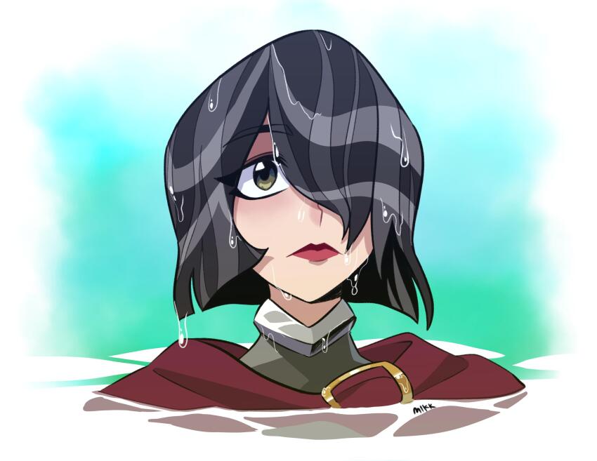 1girl, absurdres, armor, black_hair, cape, cassandra_(tangled), closed_mouth, expressionless