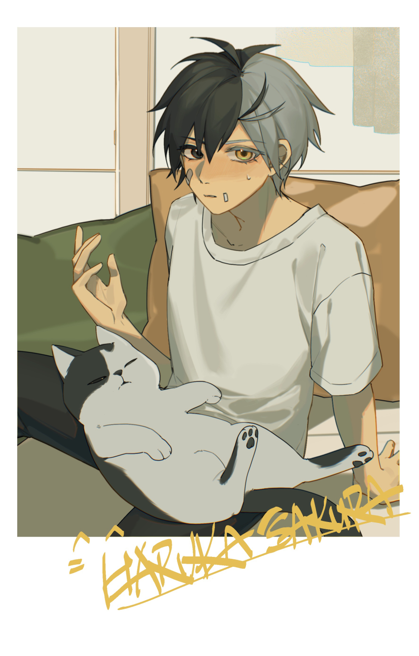 1boy, absurdres, adou_(mutato), arm_support, bandaid, bandaid_on_face, black_eyes, black_hair