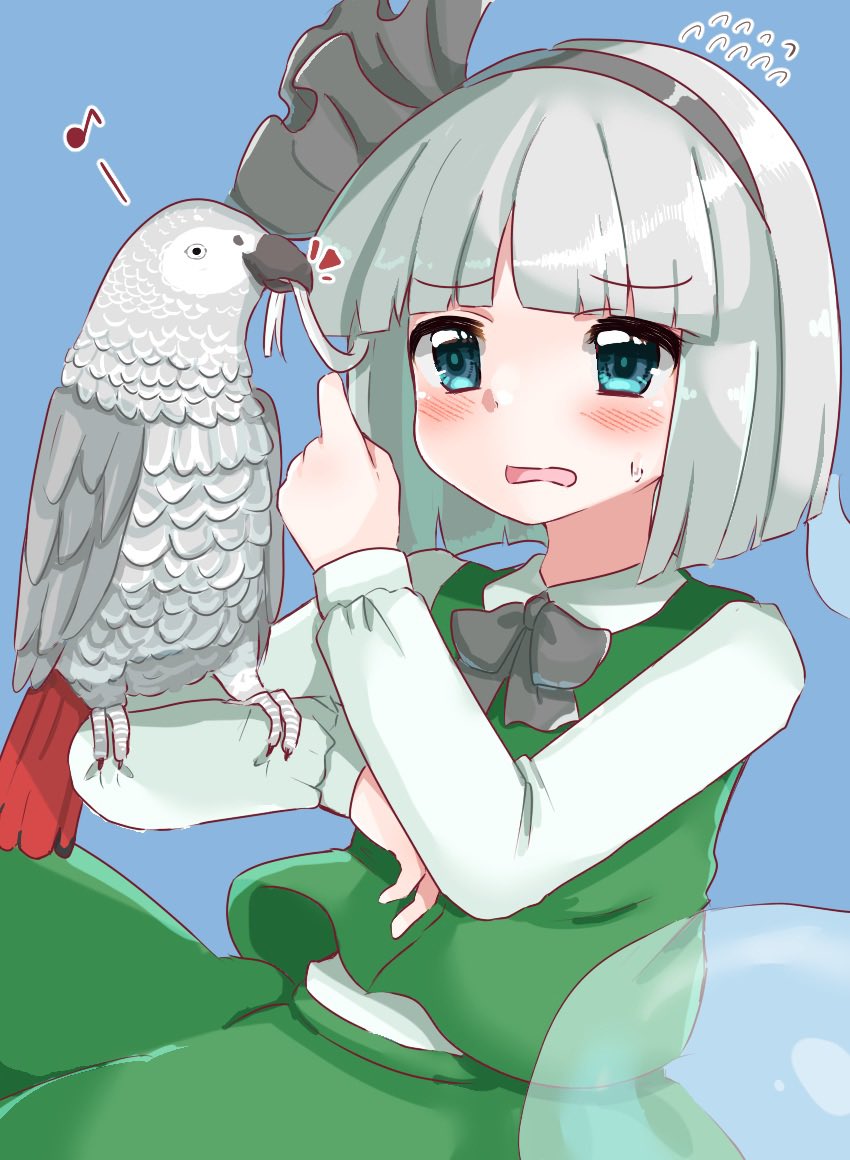 1girl, african_grey_parrot, animal_on_arm, bird, bird_on_arm, blue_eyes, blush, bow