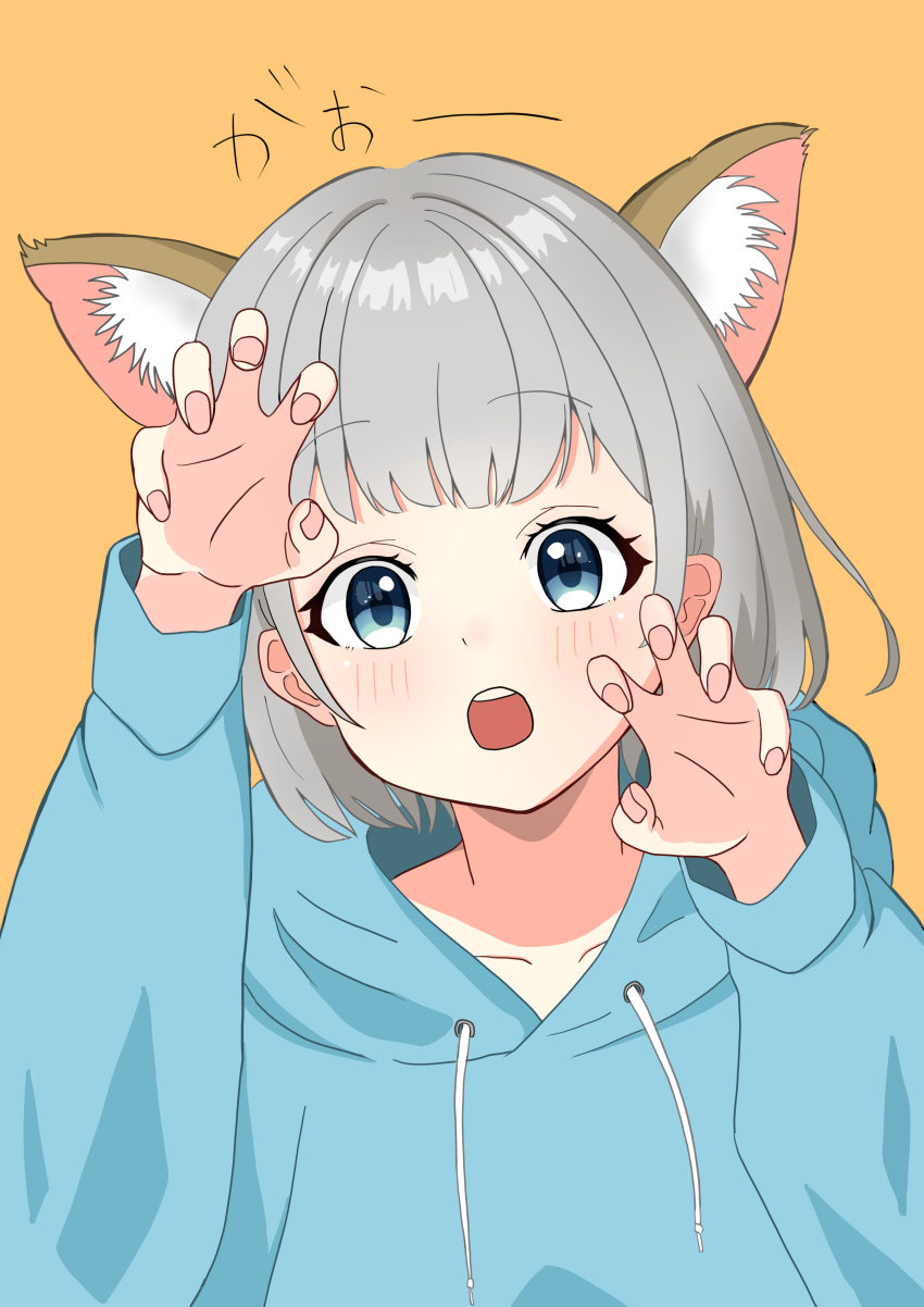 1girl, absurdres, animal_ears, blue_eyes, blue_hoodie, blush, bob_cut, cat_ears, claw_pose, gao, grey_hair, highres, hood, hood_down, hoodie, looking_at_viewer, open_mouth, orange_background, original, paw_pose, short_hair, solo, teeth, upper_teeth_only, user_utnc5838