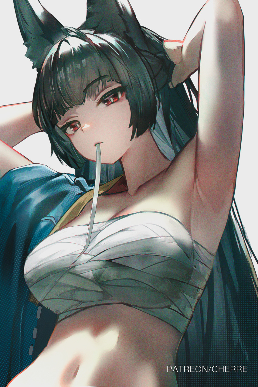 1girl, animal_ear_fluff, animal_ears, armpits, arms_up, artist_name, bandaged_chest, black_hair