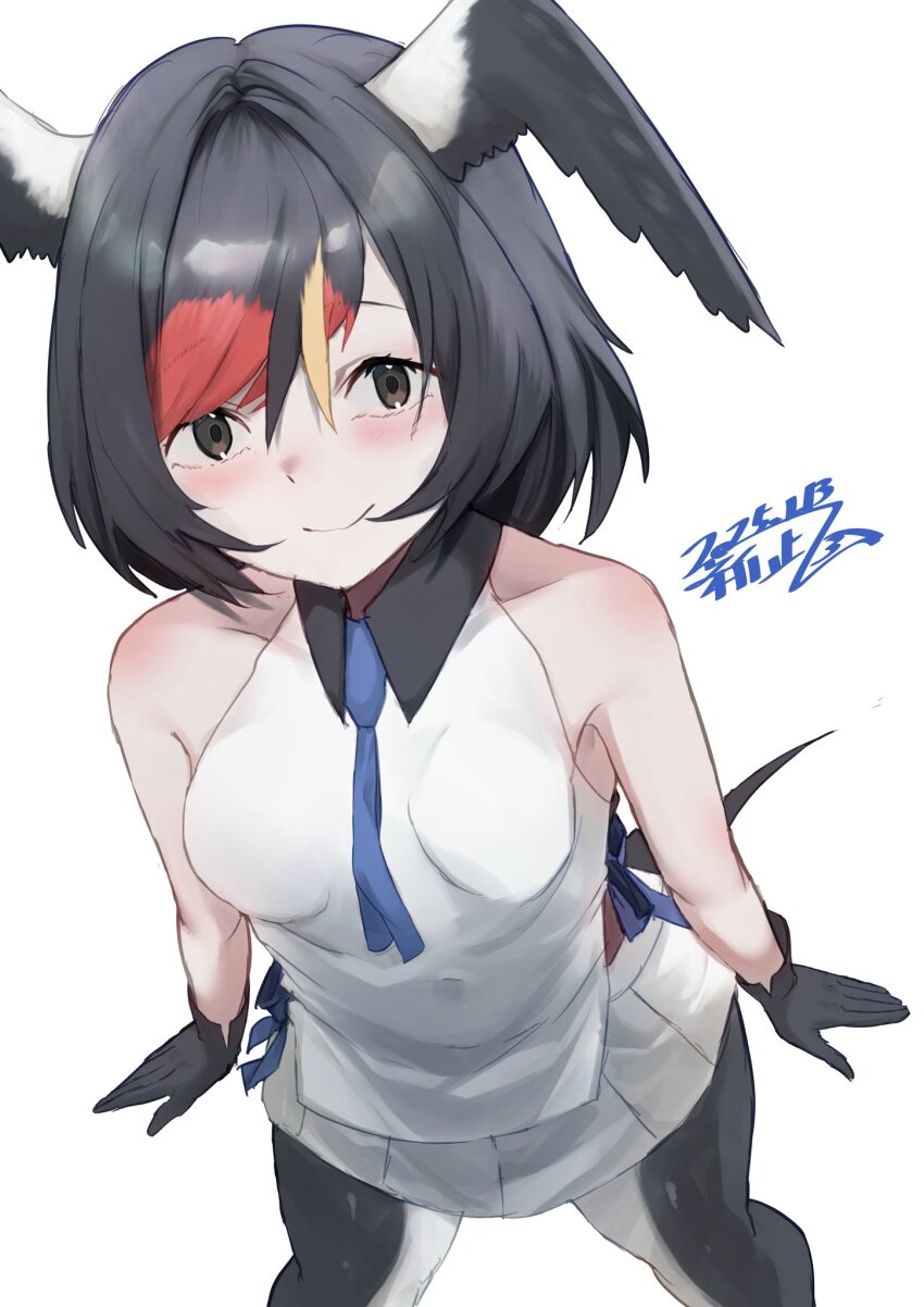 1girl, aranagi_(arng_4401), bare_shoulders, barn_swallow_(kemono_friends), bird_girl, bird_tail, bird_wings, black_collar