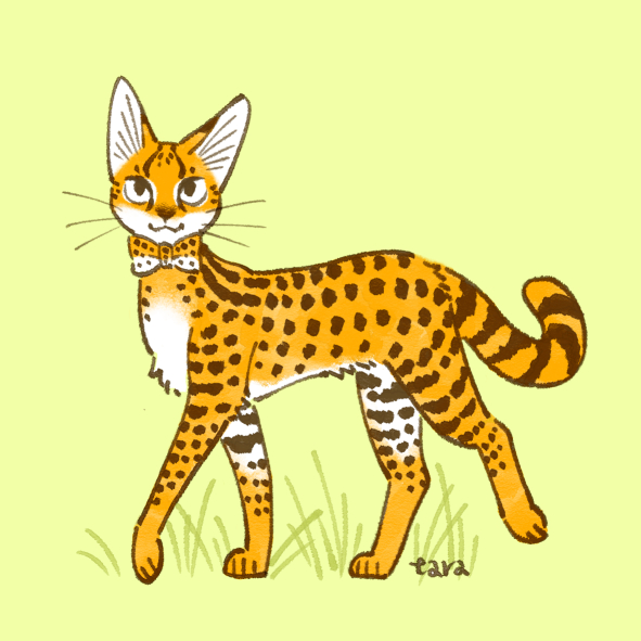 animal, animal_focus, animal_print, animalization, bowtie, closed_mouth, full_body, green_background