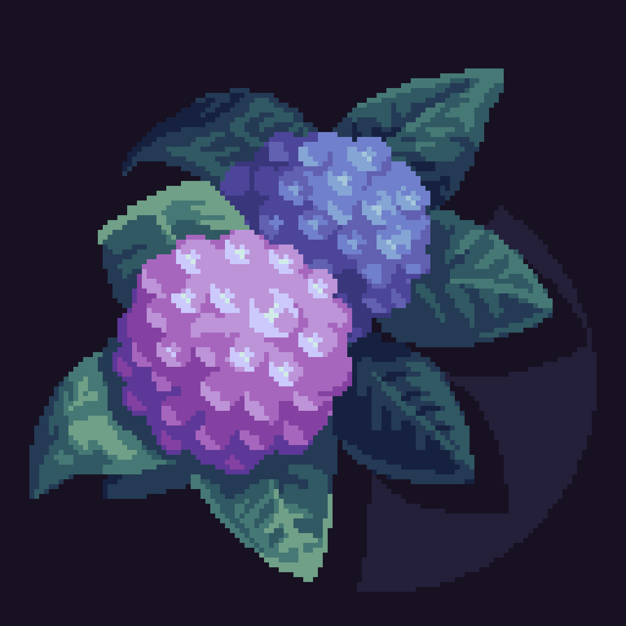 black_background, blue_flower, flower, flower_focus, highres, hydrangea, leaf, louispretends