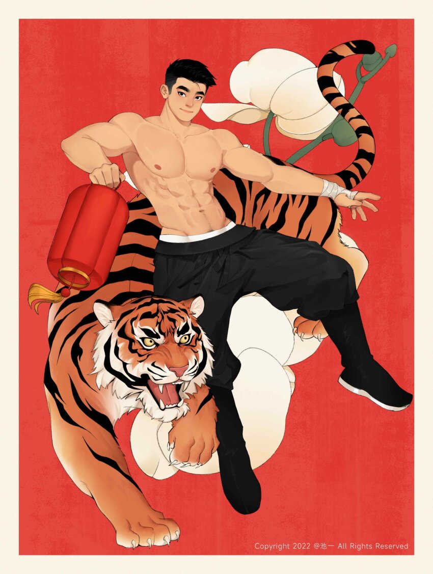 1boy, bara, black_footwear, black_hair, black_pants, chioneoc, flower, full_body, hand_wraps, highres, lantern, looking_at_viewer, male_focus, muscular, muscular_male, navel, navel_hair, nipples, original, pants, paper_lantern, pectorals, red_background, short_hair, sideburns, smile, solo, tiger, topless_male
