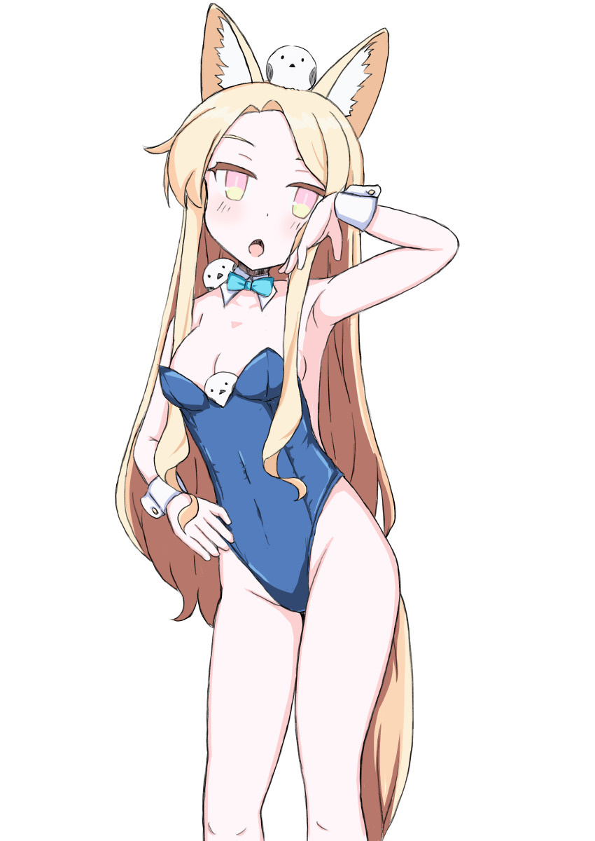 absurdres, animal, animal_ear_fluff, animal_ears, animal_in_clothes, animal_on_head, aqua_bow, aqua_bowtie