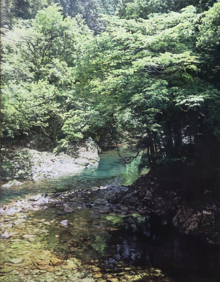 absurdres, bush, day, forest, grass, highres, hill, morning