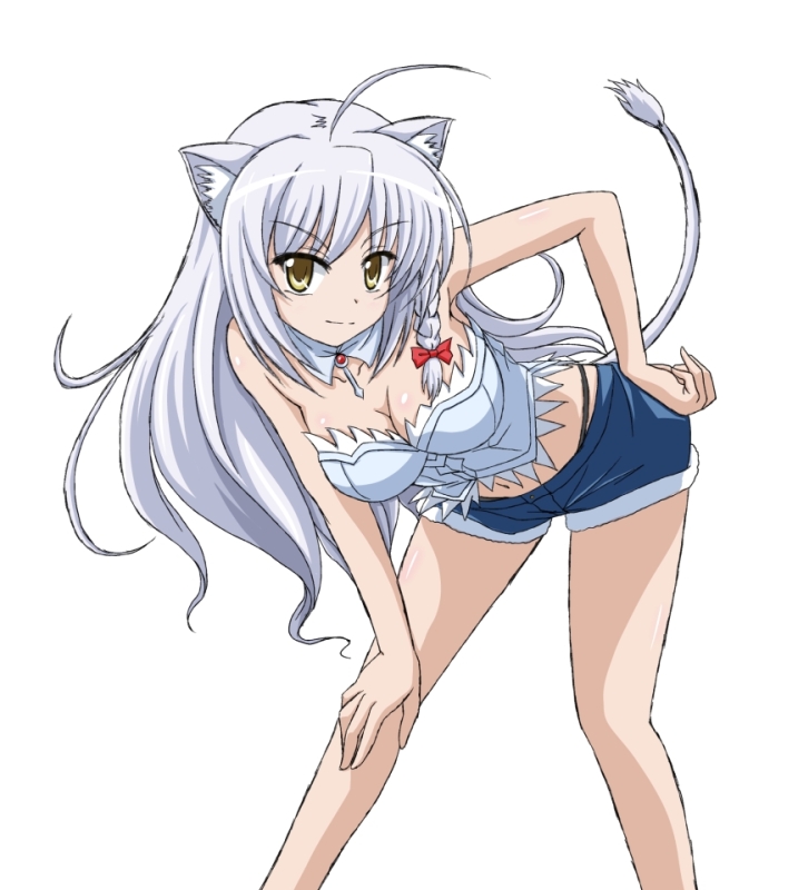 10s, 1girl, ahoge, animal_ears, bad_id, bad_pixiv_id, bare_legs, braid, breasts, brown_eyes, bustier, cat_ears, cat_tail, cleavage, dog_days, female_focus, hand_on_thigh, ishida_seito, leaning_forward, legs, leonmitchelli_galette_des_rois, lingerie, lion_ears, lion_tail, long_hair, long_legs, midriff, short_shorts, shorts, smile, solo, tail, thighs, underwear, vfenster, whale_tail_(clothing), white_hair, yellow_eyes