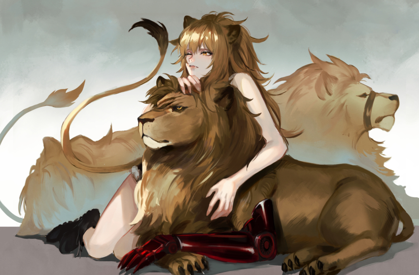 1girl, animal, animal_ears, arknights, black_footwear, brown_hair, closed_mouth, commentary_request