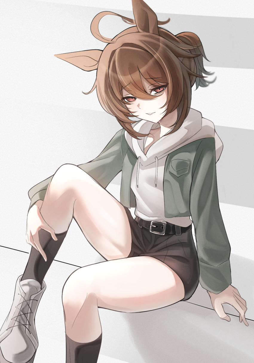 1girl, agnes_tachyon_(umamusume), ahoge, animal_ears, belt, black_belt, black_shorts, black_socks