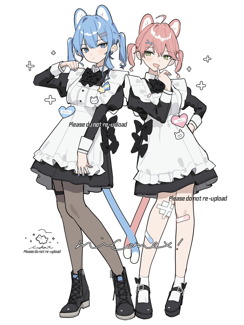 2girls, 35p_(sakura_miko), absurdres, ahoge, alternate_costume, animal_ears, apron, bandaid