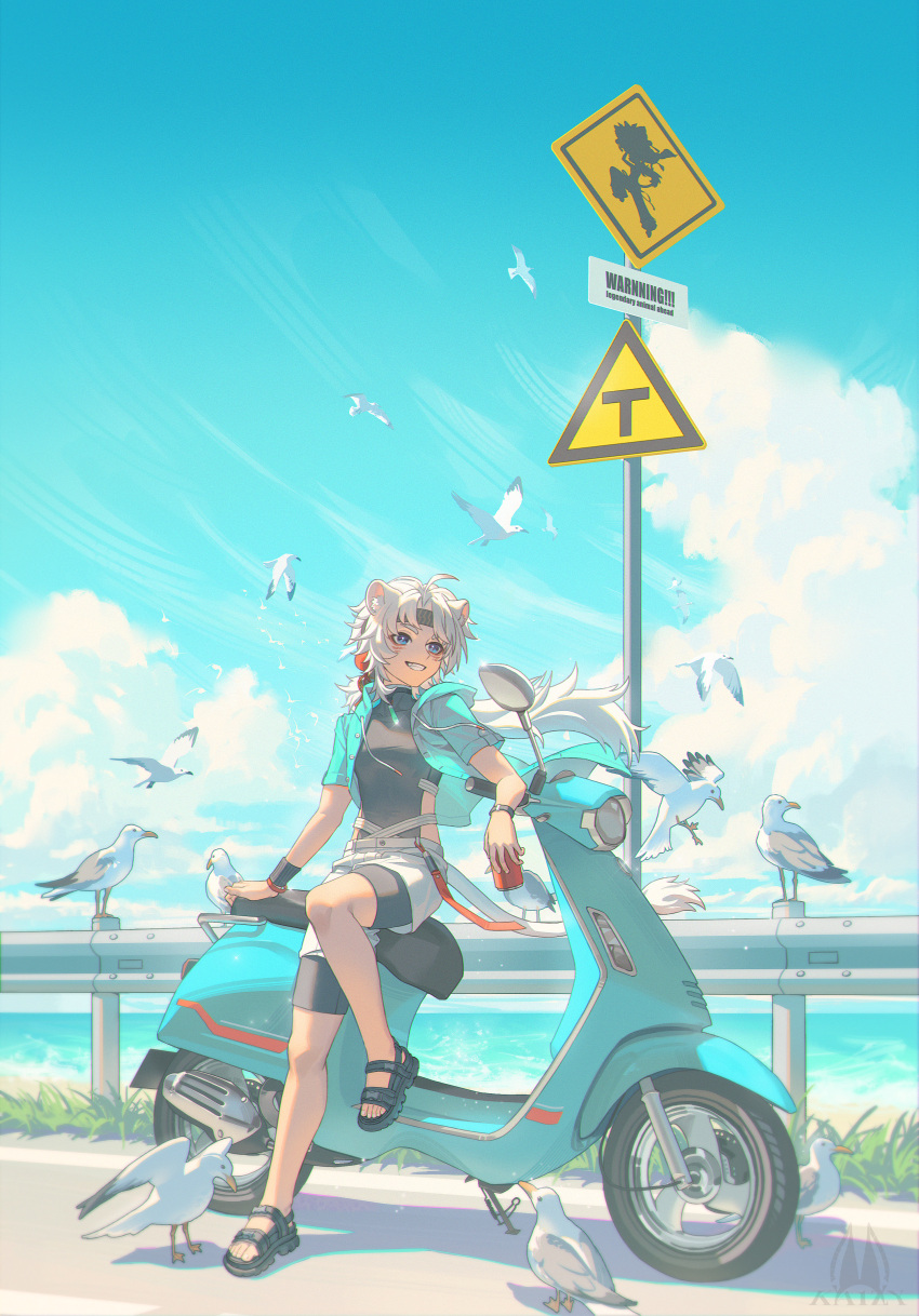 1boy, absurdres, animal_ears, artist_logo, artist_name, bird, black_headband, black_shirt, blue_jacket, blue_sky, cloud, cloudy_sky, facial_mark, fang, grin, headband, highres, hood, hood_down, hooded_jacket, jacket, kaizy, lingyang_(wuthering_waves), lion_boy, lion_ears, lion_tail, logo, looking_to_the_side, male_focus, ocean, on_scooter, open_clothes, open_jacket, ponytail, road_sign, shirt, shorts, sign, sitting, sky, smile, tail, unbuttoned, watermark, white_hair, white_shorts, wuthering_waves