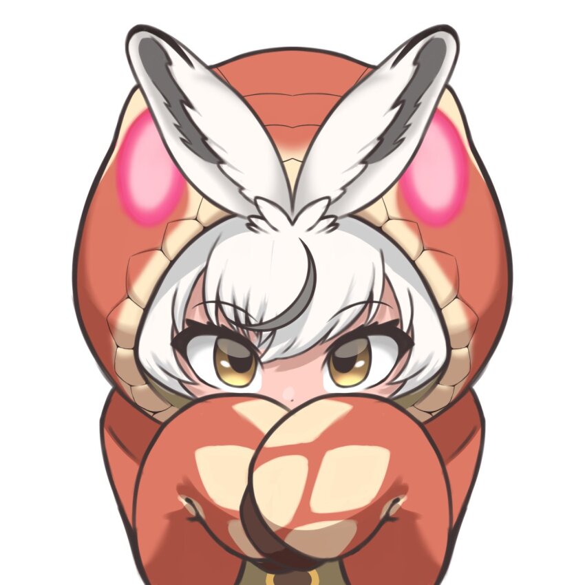 1girl, animal_ears, cosplay, ezo_mountain_hare_(kemono_friends), grey_hair, highres, hood, hoodie