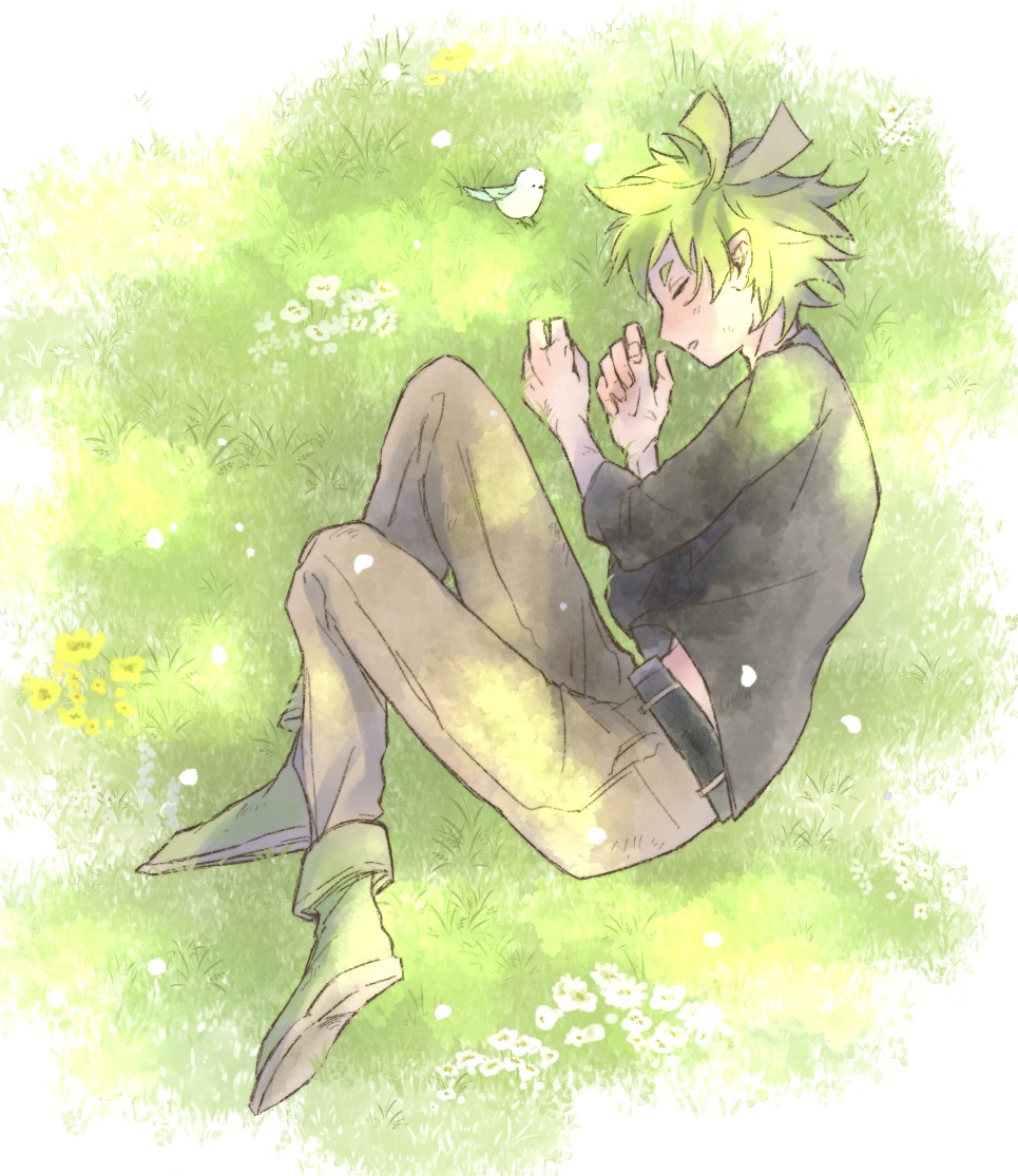 1boy, bars_robin, belt, bird, black_shirt, brown_pants, from_above, full_body