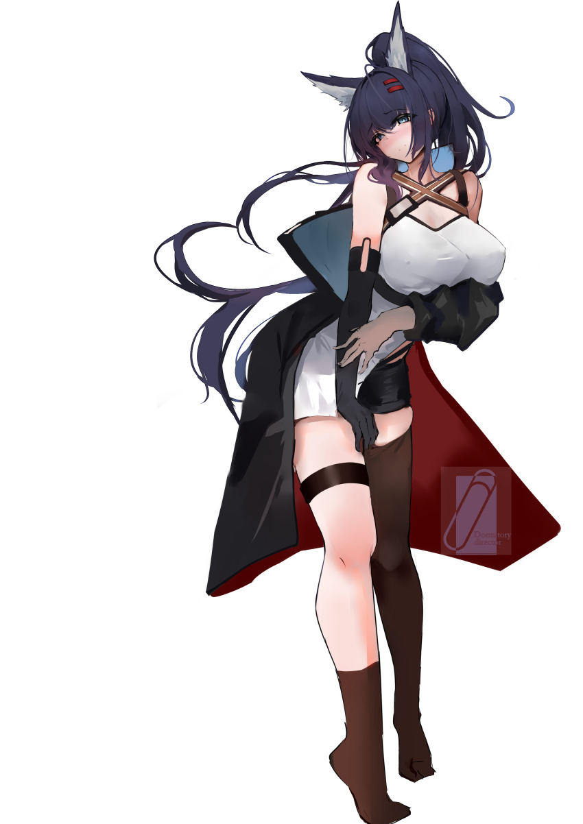 1girl, absurdres, animal_ears, arknights, asymmetrical_legwear, black_footwear, black_gloves, black_hair