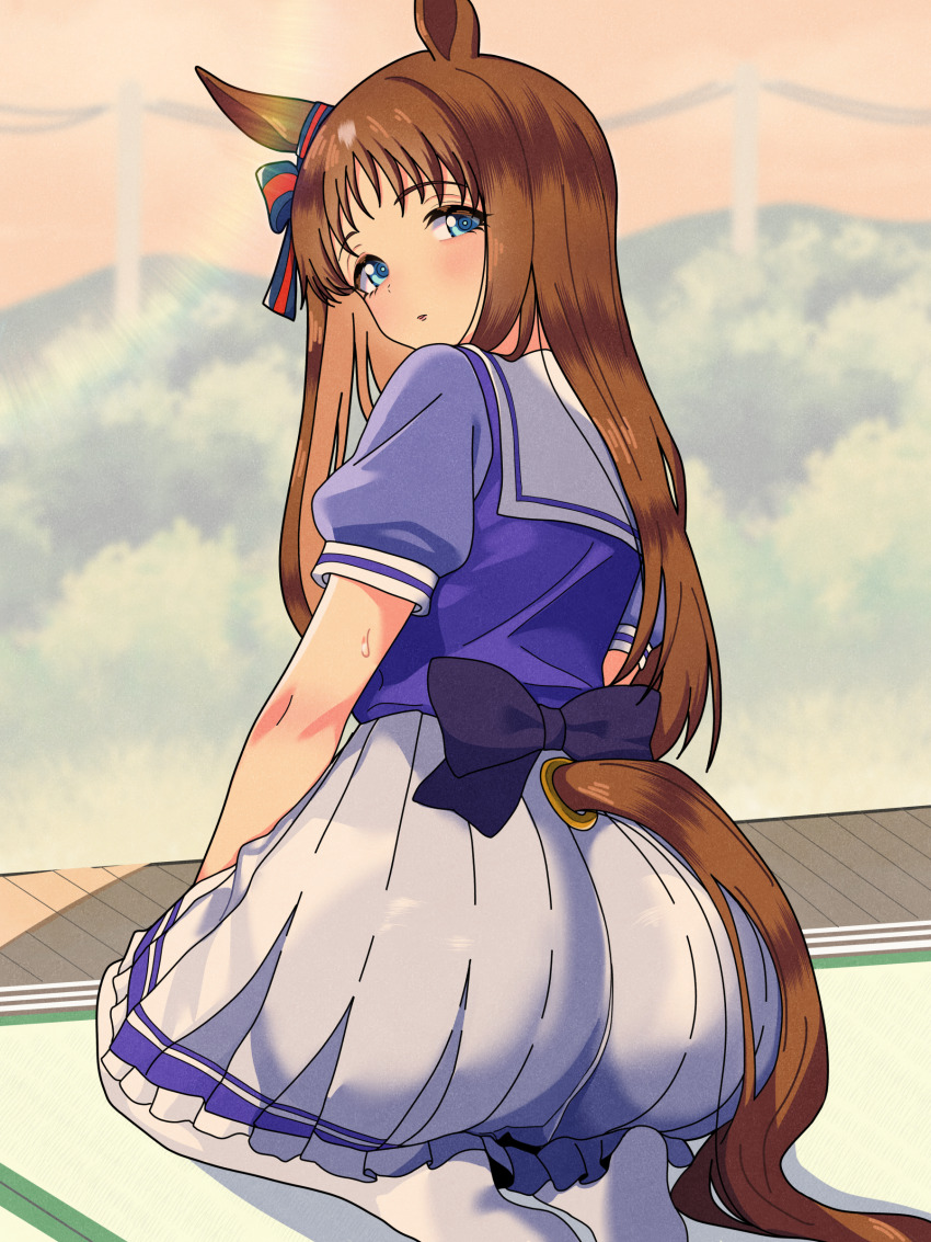 1girl, absurdres, animal_ears, ass, blue_eyes, blush, brown_hair, clothing_cutout, feet, from_behind, grass_wonder_(umamusume), highres, horse_ears, horse_girl, horse_tail, indoors, kaname_aizuki, long_hair, looking_at_viewer, looking_back, miniskirt, on_ground, pleated_skirt, school_uniform, seiza, sitting, skirt, solo, summer_uniform, tail, tail_through_clothes, tatami, thighhighs, tracen_school_uniform, umamusume, white_skirt, white_thighhighs