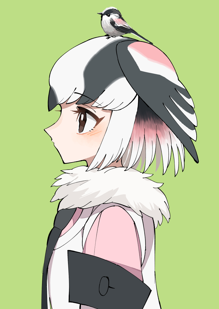 1girl, absurdres, bird, bird_girl, bird_wings, black_hair, black_necktie, black_trim